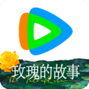 SM视频百度云